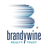 Logo of BDN