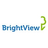 Logo of BV