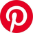 Logo of PINS