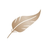 Logo of PLBC