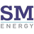 Logo of SM