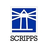Logo of SSP