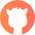 Alpaca City