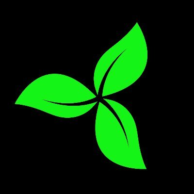 Arbor Finance