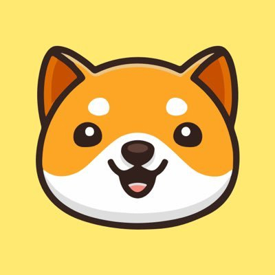 BabyDoge Algebra