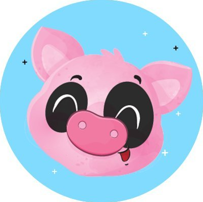 BabyPig Finance