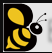 Beekava