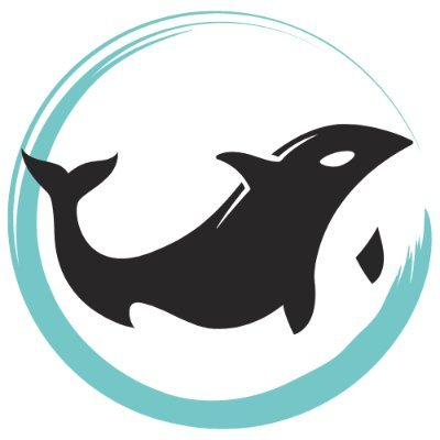 Black Whale