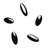Logo of BlackOpal