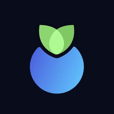 Blueberry