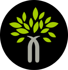 Bodh Finance