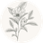 Logo of Bouje Finance
