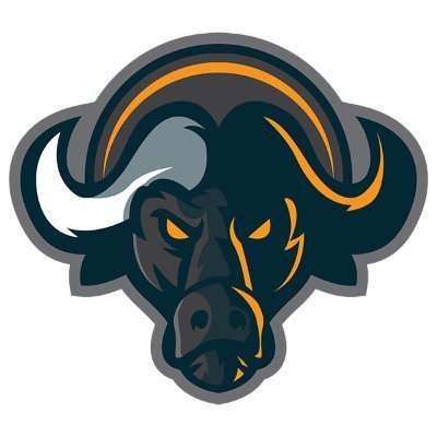 Buffaloswap