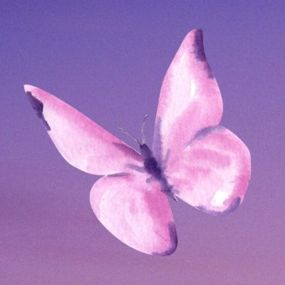 Butterfly Finance