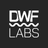 Logo of DWF Labs
