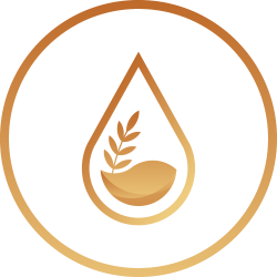 ENKI Protocol