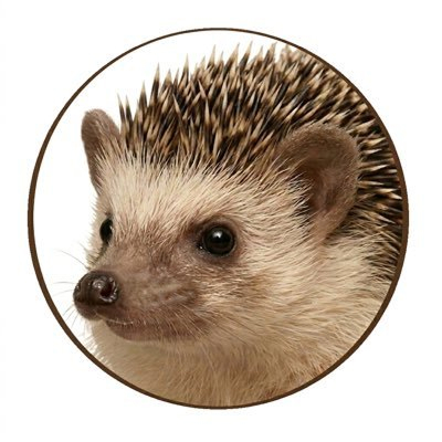 HEDGEhog Protocol