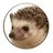 Logo of HEDGEhog Protocol