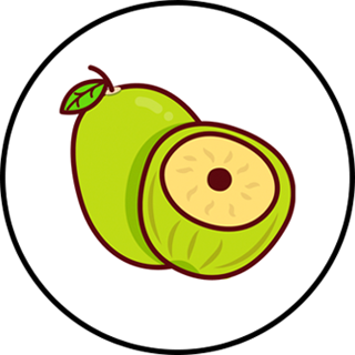 Jujube Finance