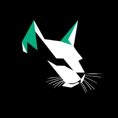Kittenswap AMM