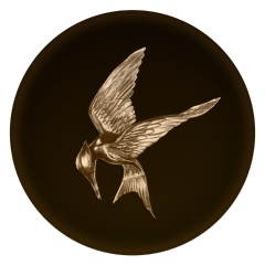 Mockingbird