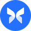 Morpho Blue