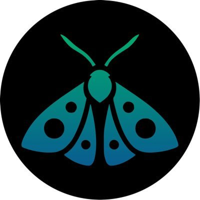 Moth Finance