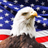 Logo of Murica