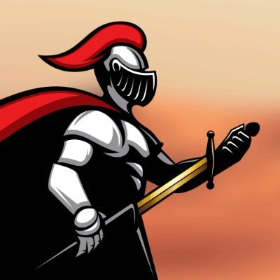Paladin DAO