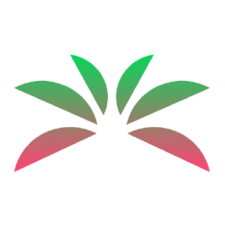 Palmy Finance