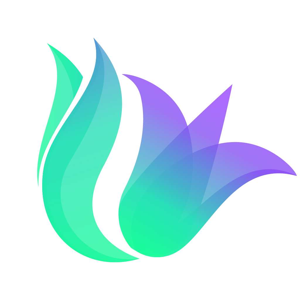 Solily Protocol