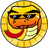 Logo of SoliSnek Finance