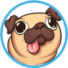 Sudo Inu