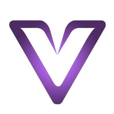 VII Finance