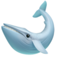Whale Loans