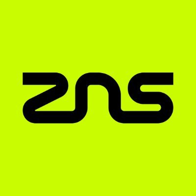 ZNS Logo