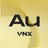 VNX Gold logo