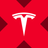 Tesla xStock logo